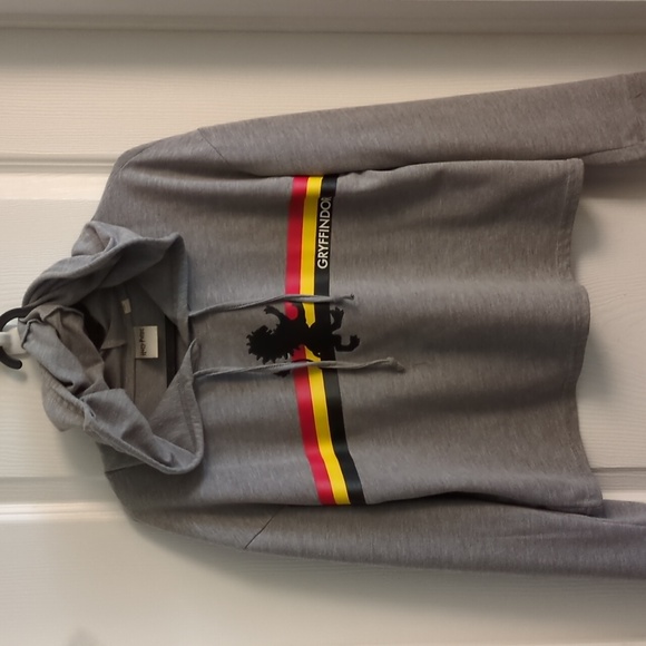 Harry Potter Gryffindor Hoodie / Sweatshirt - Picture 1 of 5
